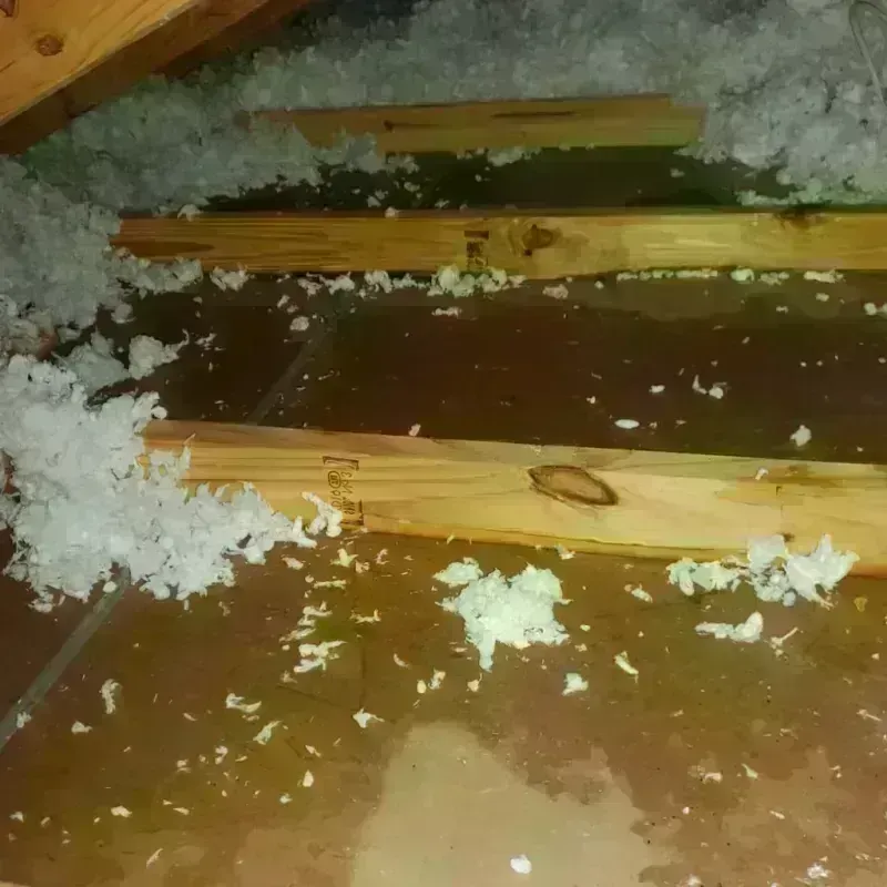 Attic Water Damage in Good Hope, CA