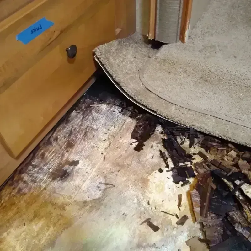 Wood Floor Water Damage in Good Hope, CA